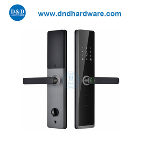 أمان المنازل الرقمية الإنذار ، أقفال باب البصمة الذكية مع المفتاح الميكانيكي DDDL008