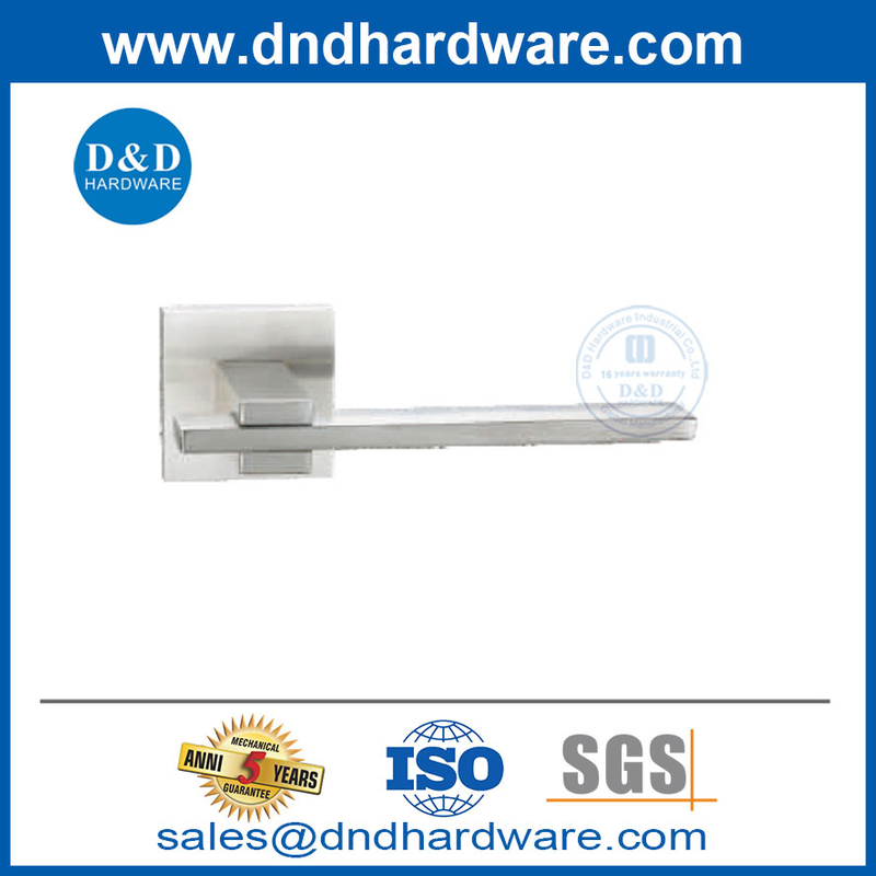 الأبواب الخارجية مقابض خصوصية الفولاذ المقاوم للصدأ مقبض الباب DDSH060