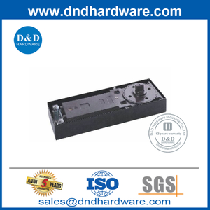 التصميم الحديثة ، ربيع أرضي الصلب الثقيل للباب الزجاجي DDFS322